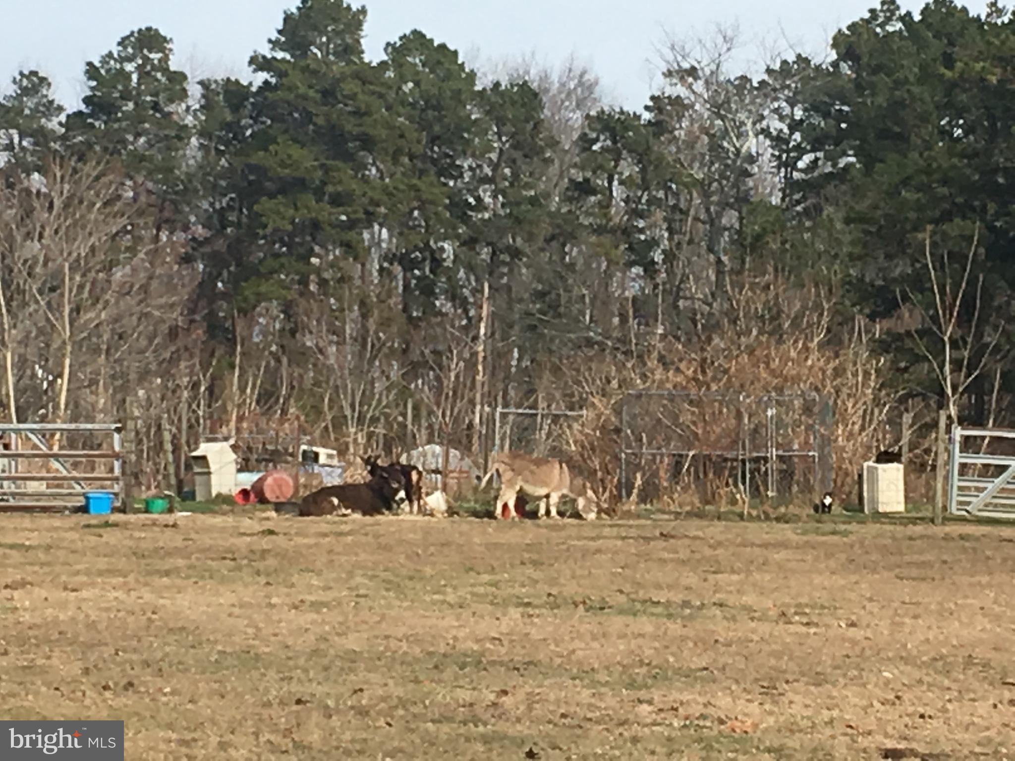 0 Blue Anchor Road Sicklerville, NJ 08081 - Photo 3 of 4 a view of outdoor space with seating