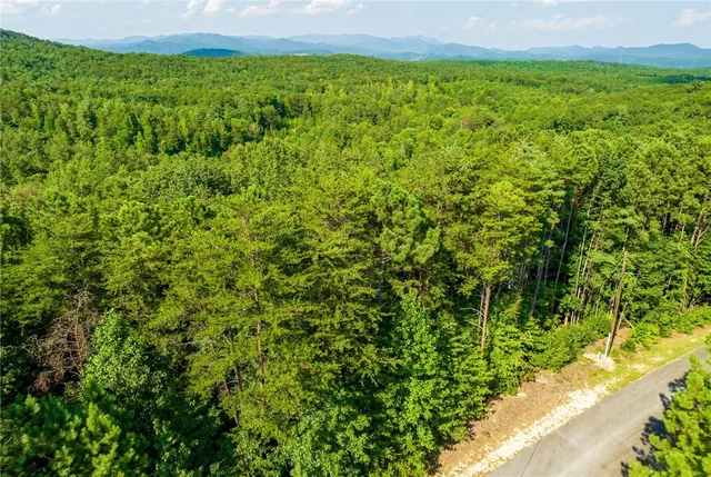 $1,095,077 | 0 N-35a Meadow View Way, Salem, SC 29676