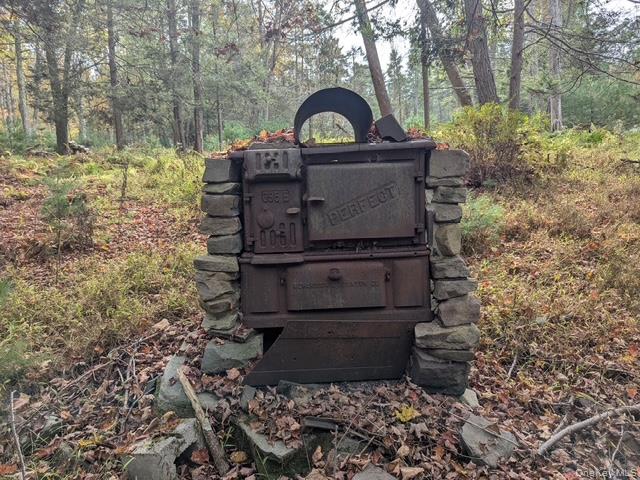 131 Old Plank Road Sparrowbush, NY 12780 - Photo 17 of 19 a view of a back yard of the house