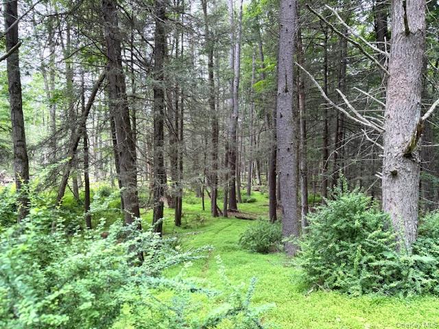 131 Old Plank Road Sparrowbush, NY 12780 - Photo 6 of 19 a backyard of a house with lots of green space
