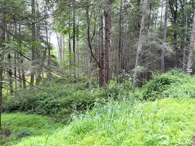 a view of forest