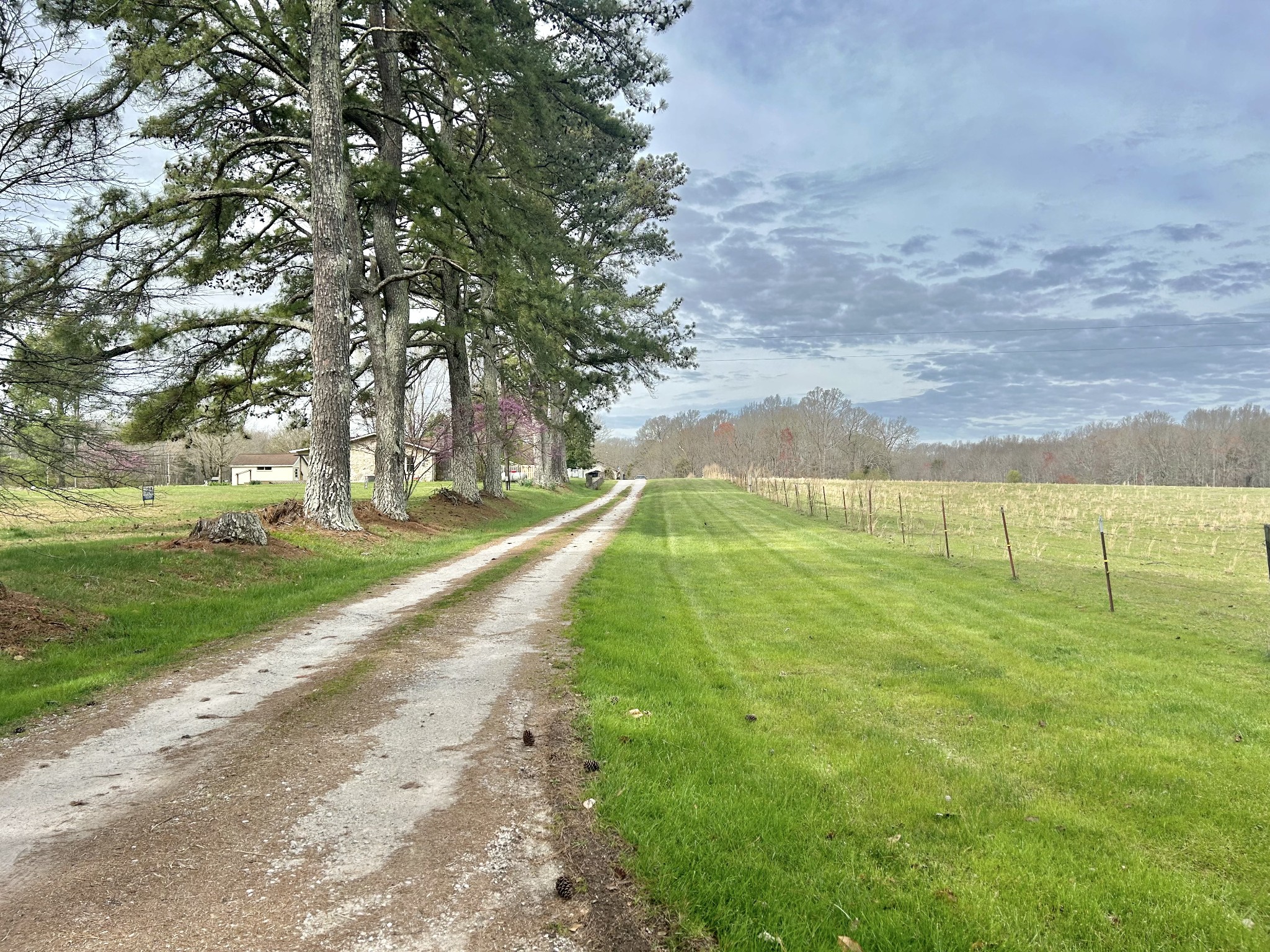 520 Shipley Road Manchester, TN 37355 - Photo 4 of 67 Gallery Image 4