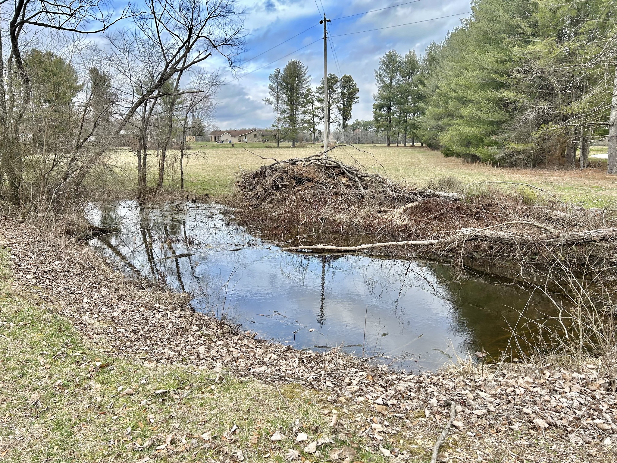 520 Shipley Road Manchester, TN 37355 - Photo 42 of 67 Gallery Image 42
