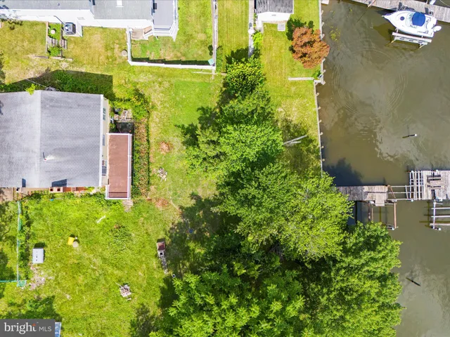 a view of a garden with plants