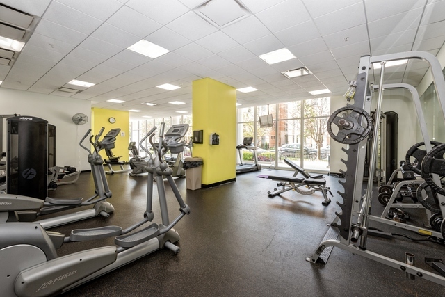 1629 South Prairie Avenue, Unit 2906 Chicago, IL 60616 - Photo 17 of 21 a view of a room with gym equipment