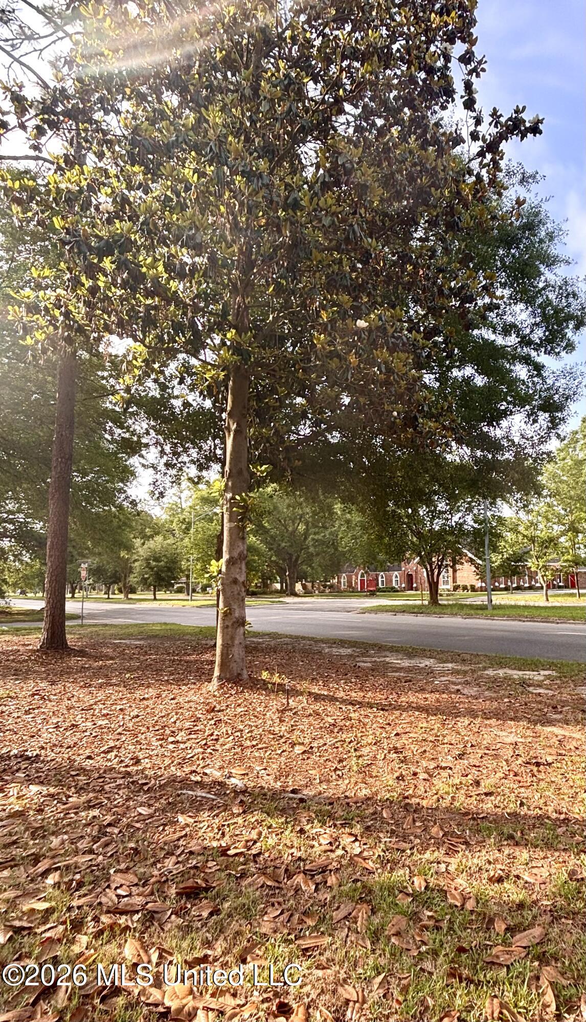 1500 Goodyear Boulevard Picayune, MS 39466 - Photo 86 of 91 IMG_9424