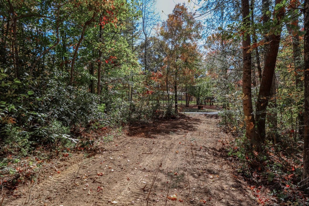 3 Fancher Road Newport, TN 37821 - Photo 6 of 27 Gallery Image 6
