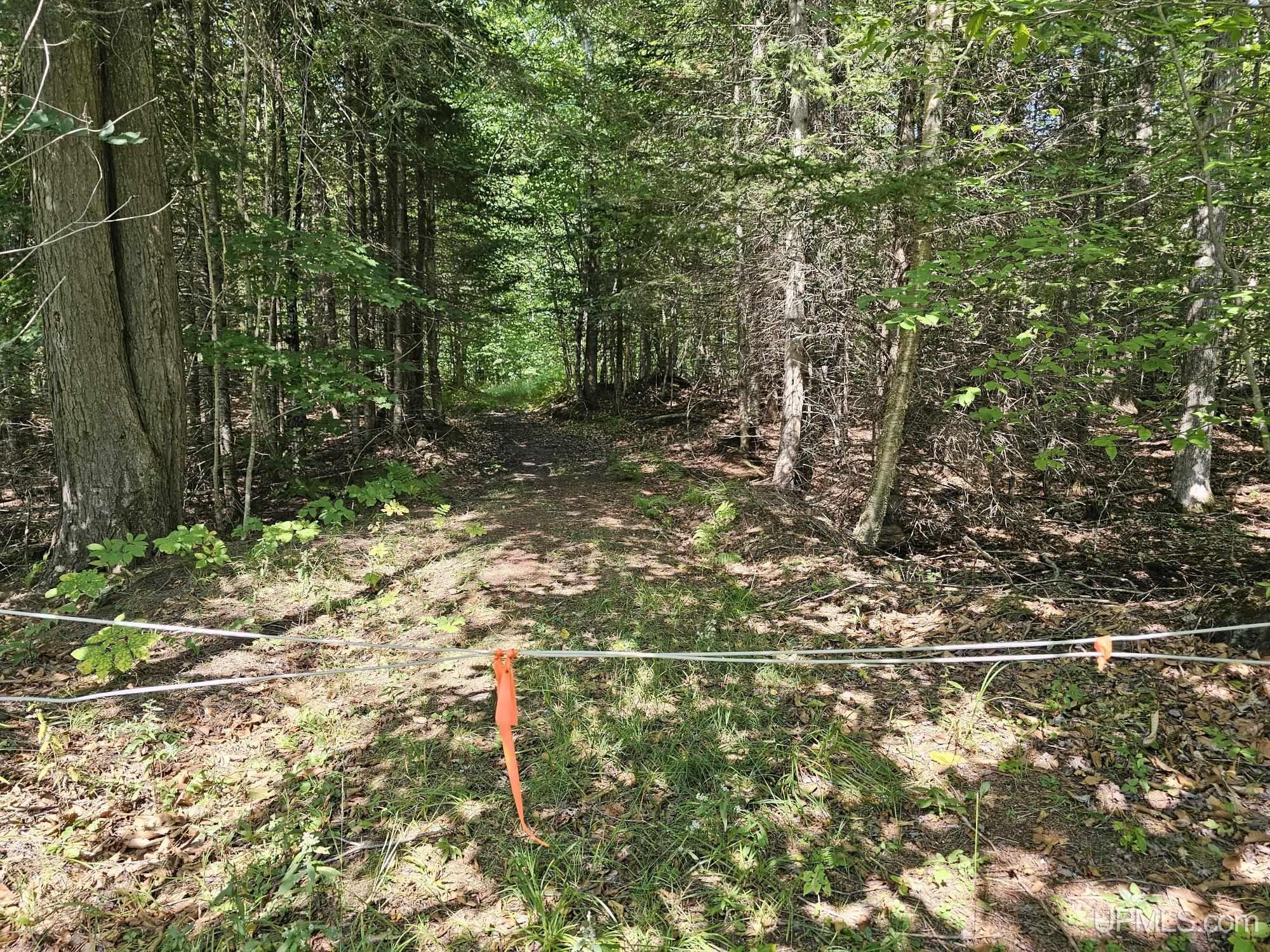 1931 River Road Gulliver, MI 49840 - Photo 45 of 65 Gallery Image 45