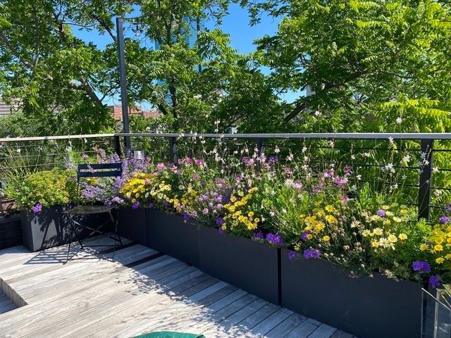 a view of a flower in a garden