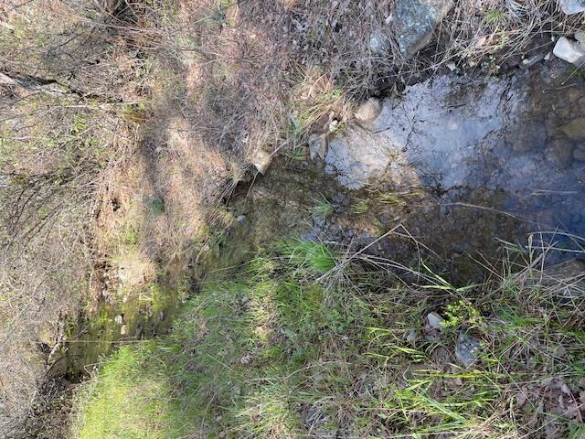 160 Ac Road Oak Run, CA 96069 - Photo 29 of 39 20240322022120382971000000-o