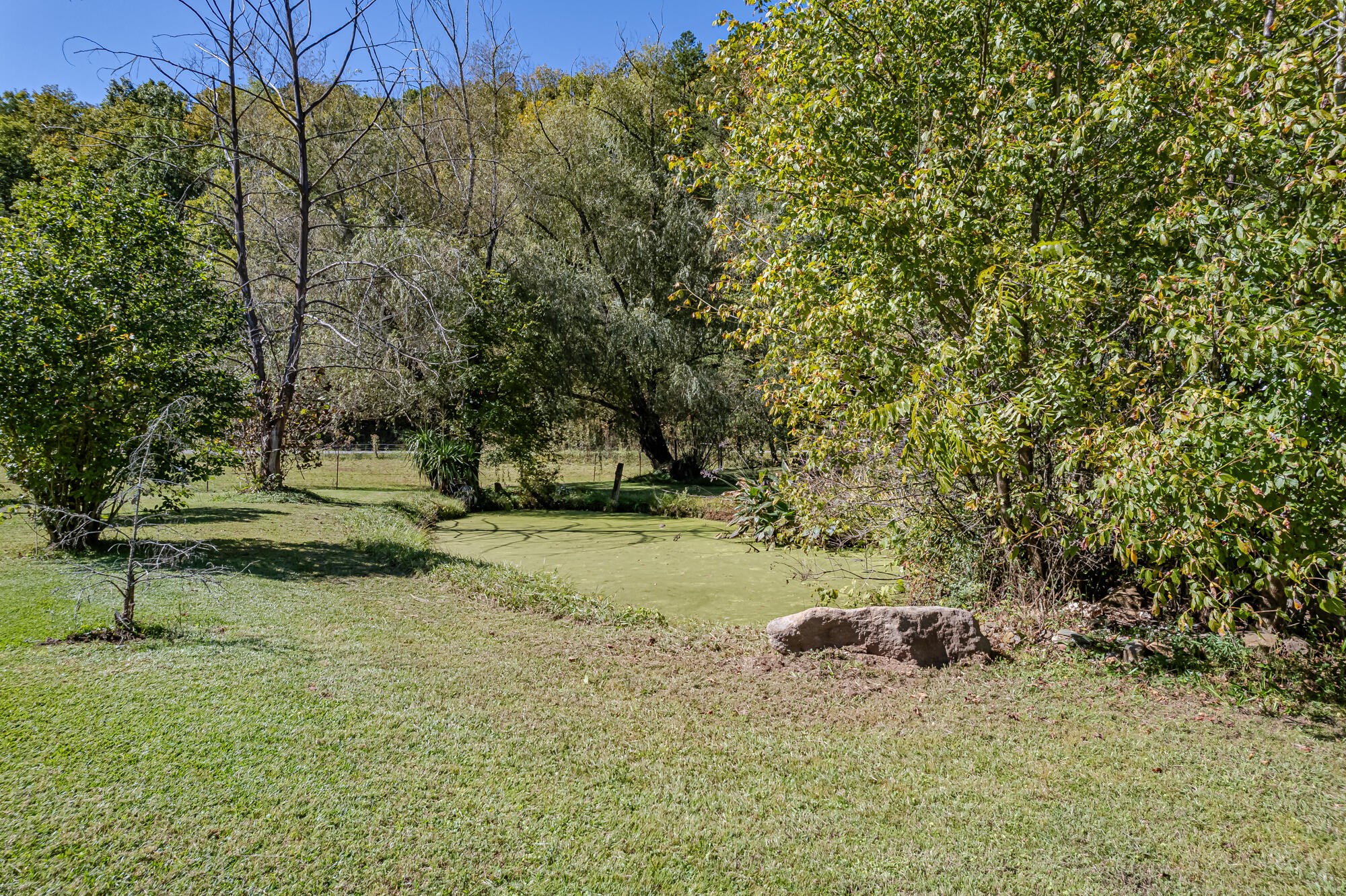2443 Fairview Road Madisonville, TN 37354 - Photo 43 of 50 Gallery Image 43