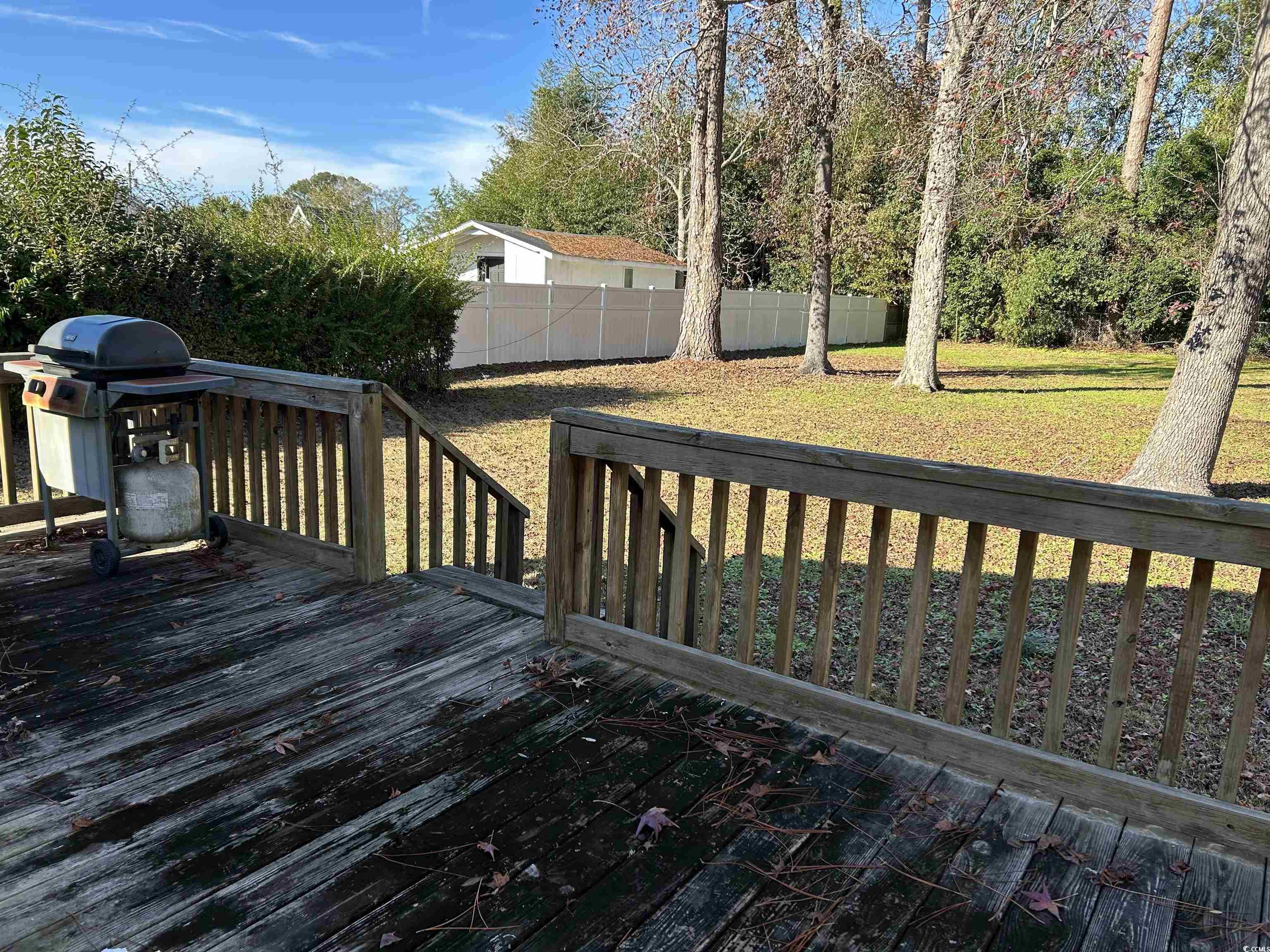 404 East Andrews Street Hemingway, SC 29554 - Photo 16 of 17