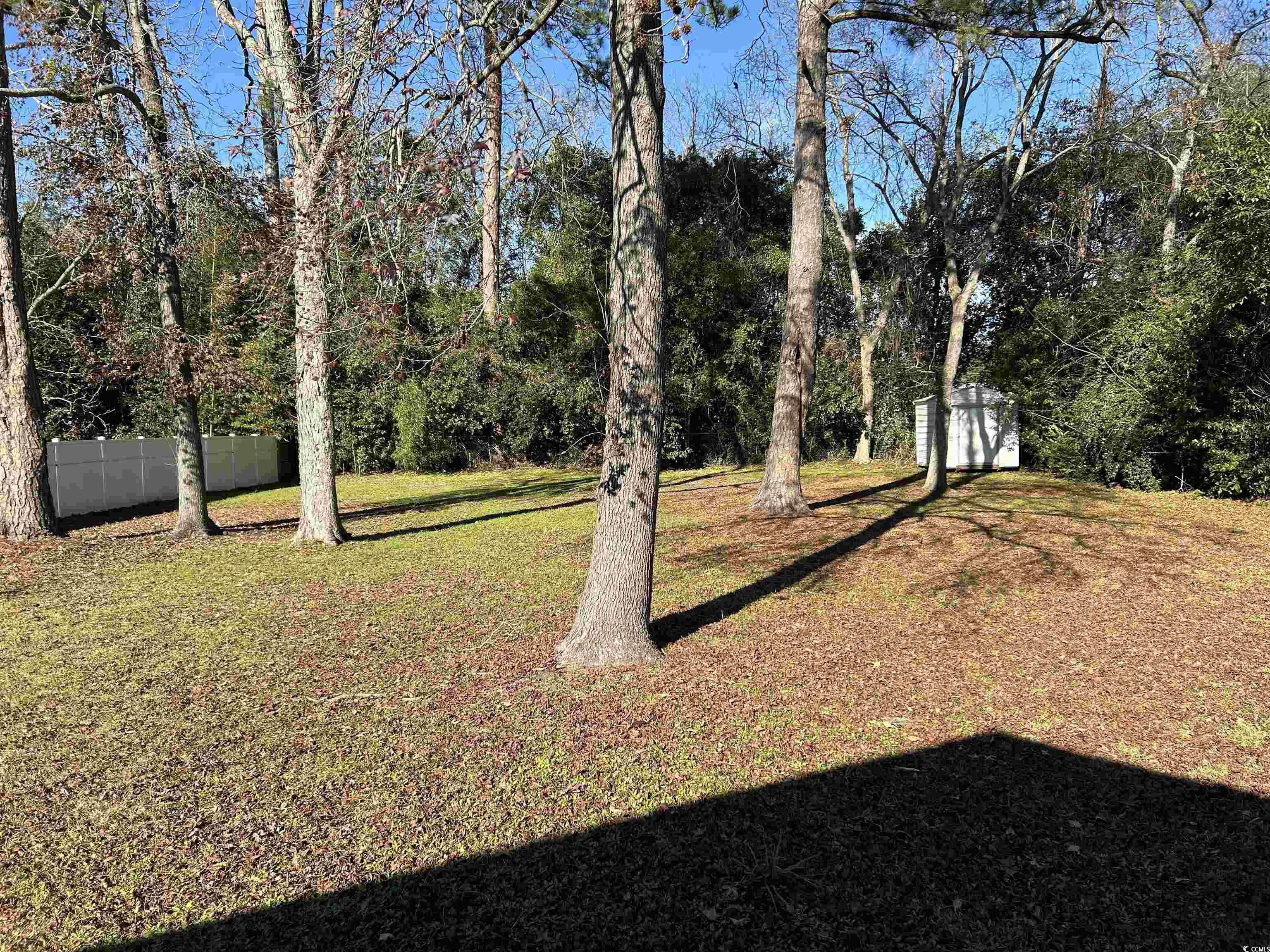 404 East Andrews Street Hemingway, SC 29554 - Photo 17 of 17