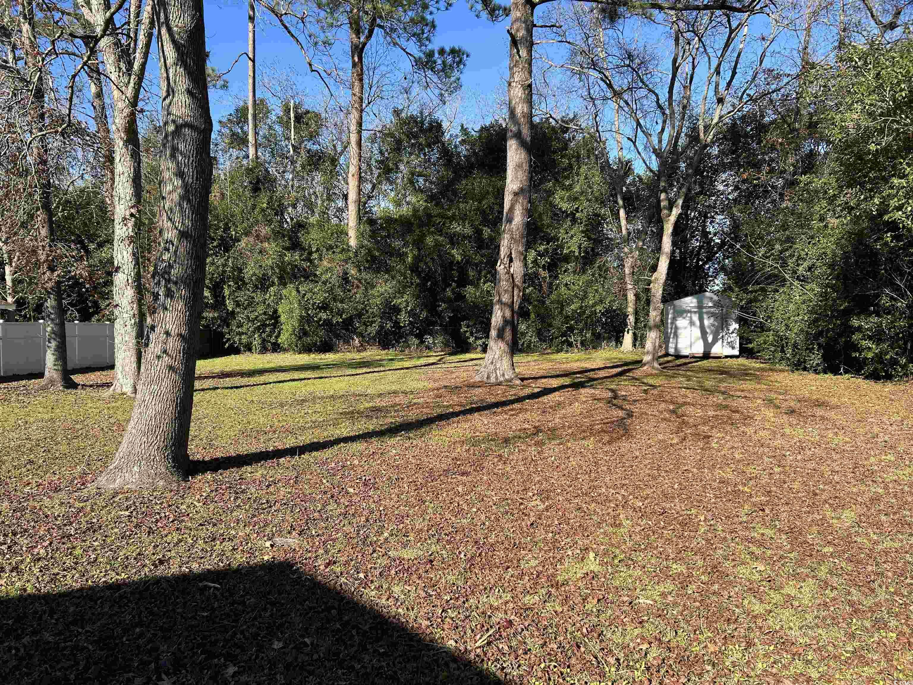 404 East Andrews Street Hemingway, SC 29554 - Photo 3 of 17