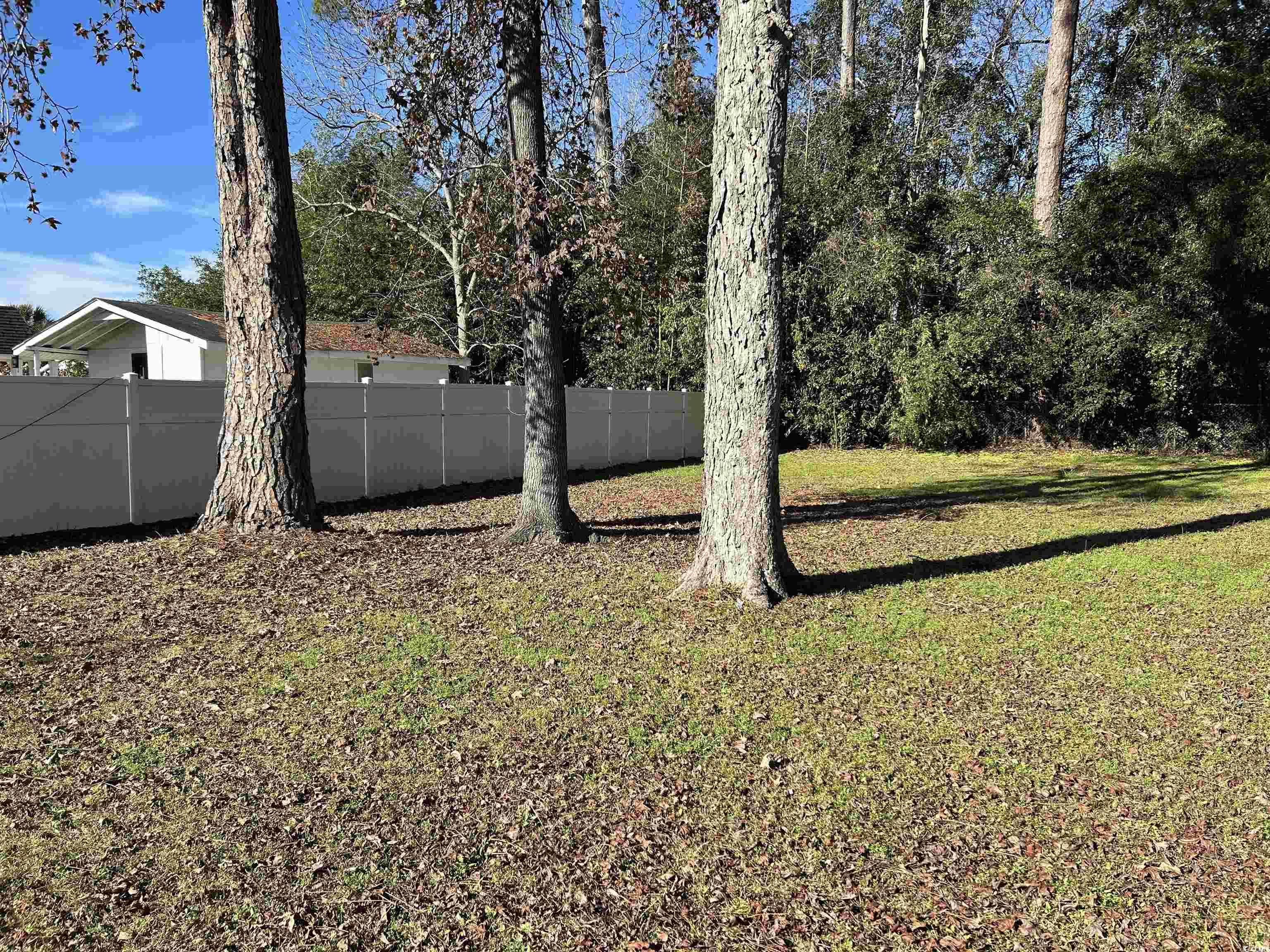 404 East Andrews Street Hemingway, SC 29554 - Photo 5 of 17