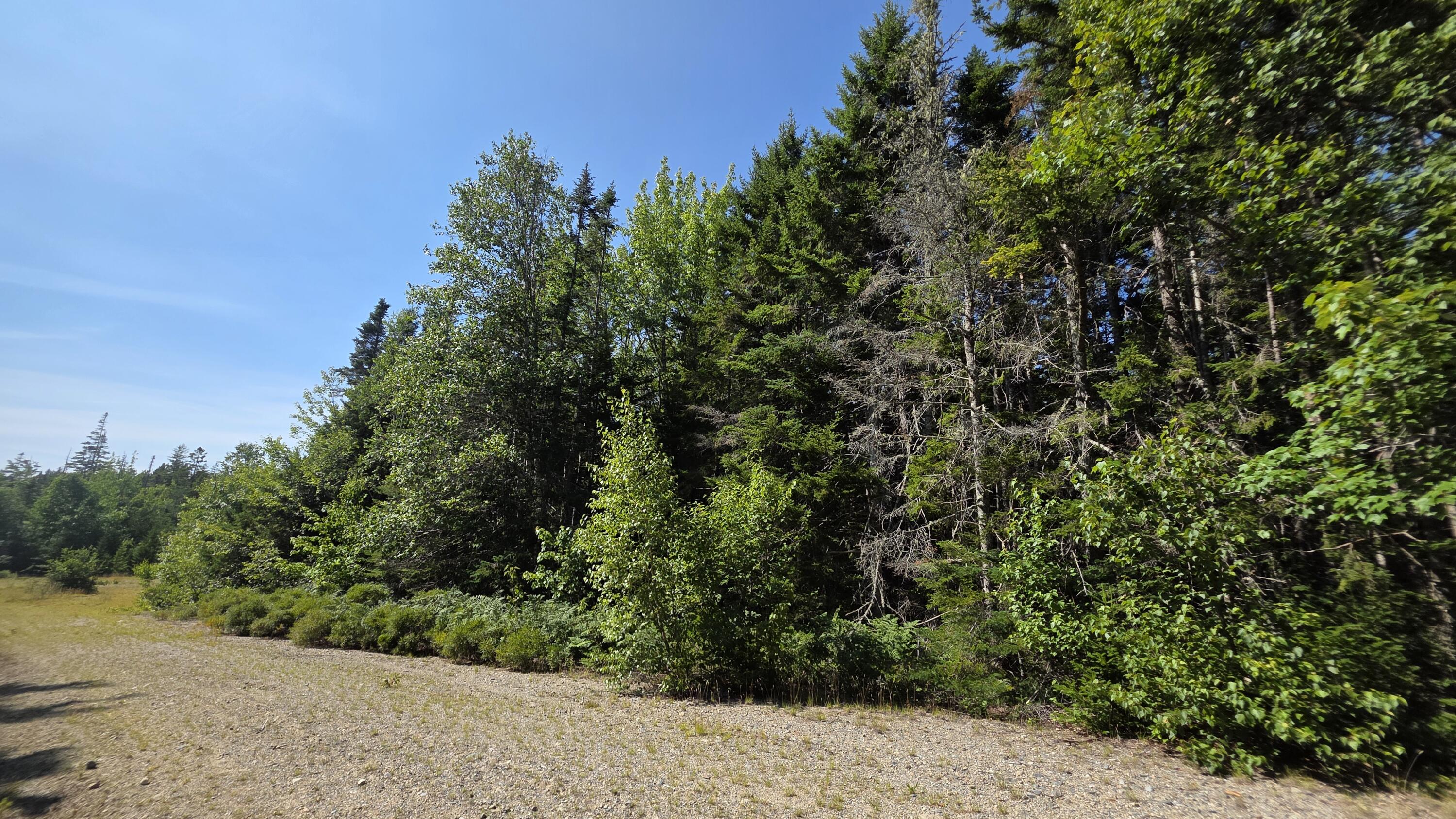 1 Map Road Jonesboro, ME 04648 - Photo 22 of 25 20260728_151855
