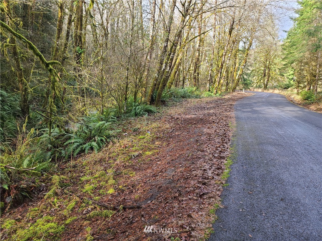 0 Hackett Road Longview, WA 98632 - Photo 3 of 5 Gallery Image 3