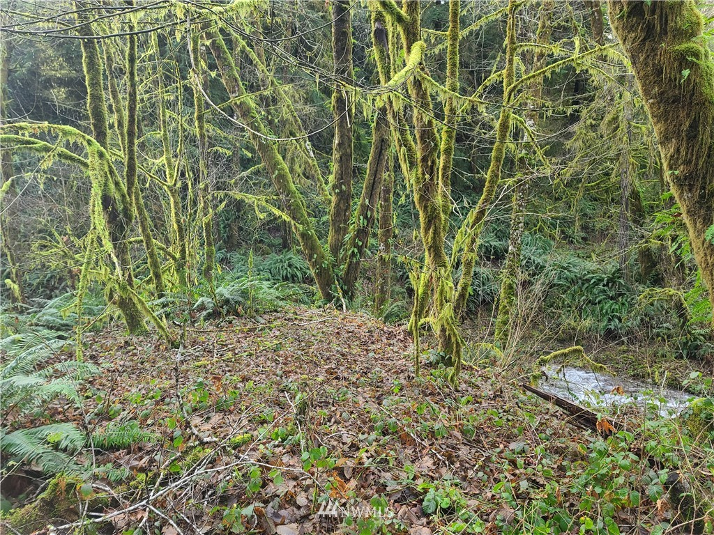 0 Hackett Road Longview, WA 98632 - Photo 4 of 5 Gallery Image 4