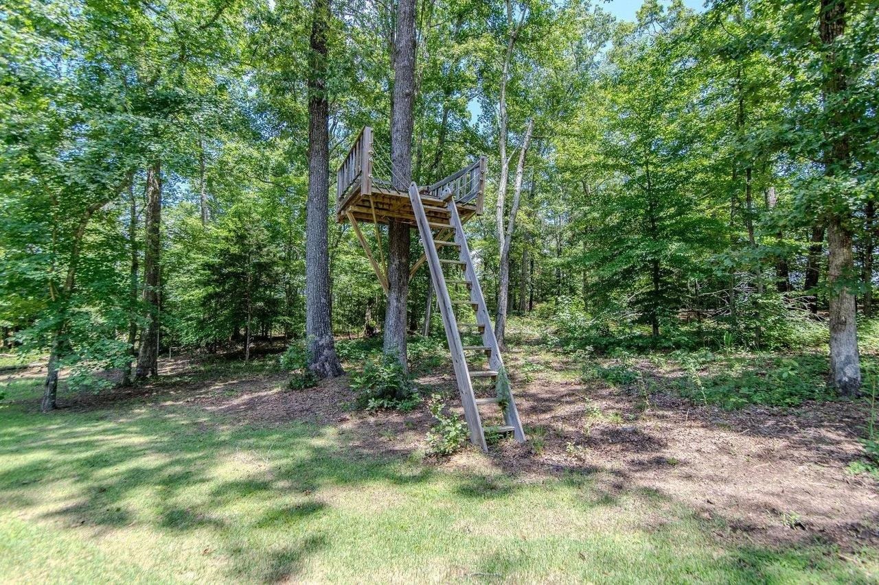 2134 Otis Plunk Road Bethel Springs, TN 38315 - Photo 33 of 35 a view of a backyard