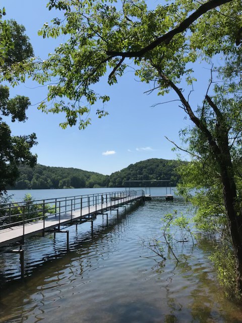 37 River Trace Road Dover, TN 37058 - Photo 9 of 11 a view of swimming pool with lake view