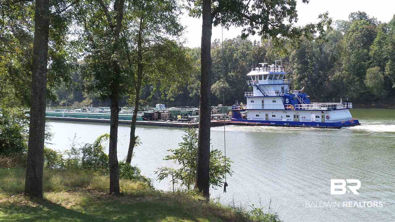 21 Jimmie Phillips Road Sawyerville, AL 36776 - Photo 14 of 41