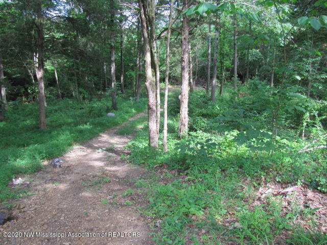 7030 Love Road Hernando, MS 38632 - Photo 5 of 8 road behind trailer