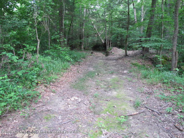 7030 Love Road Hernando, MS 38632 - Photo 6 of 8 IMG_0276