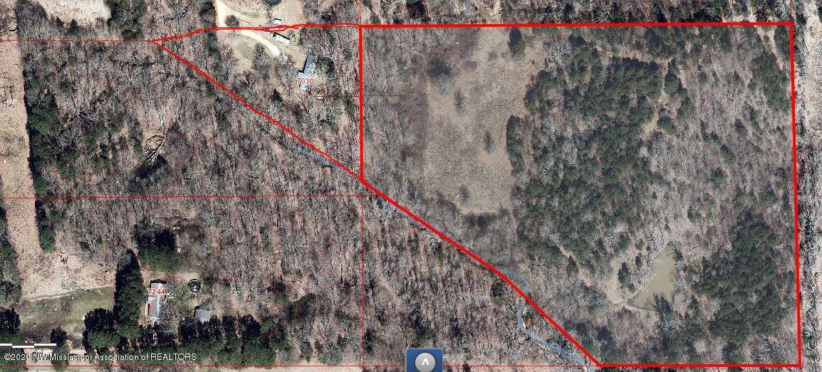 7030 Love Road Hernando, MS 38632 - Photo 8 of 8 GIS map
