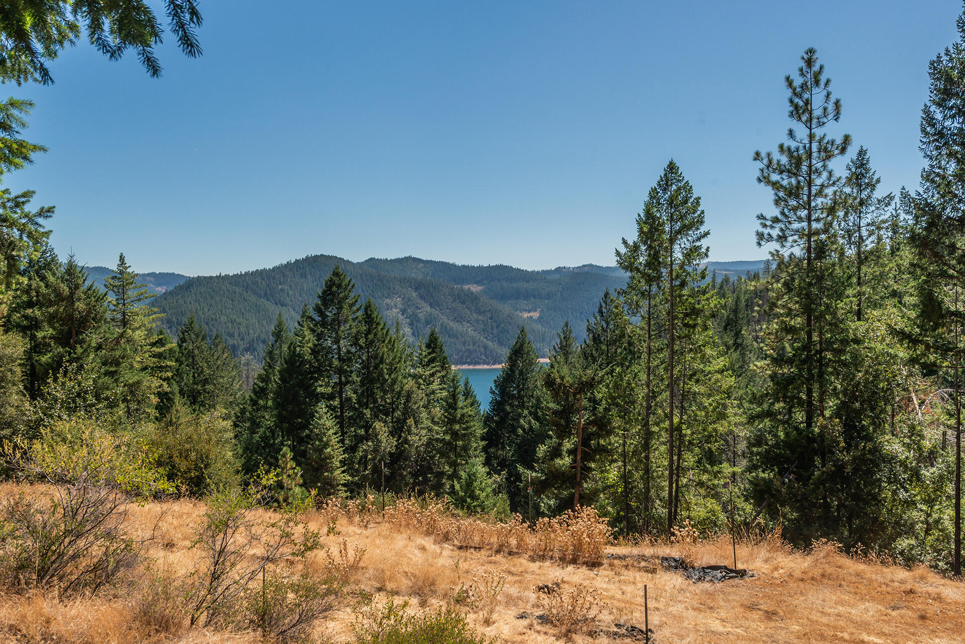 1511 Upper Moore Gulch Road Trinity Center, CA 96091 - Photo 37 of 62 DSC_6707