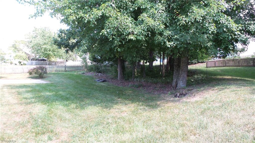 3312 Timberwolf Avenue High Point, NC 27265 - Photo 26 of 29 Trees provide a buffer for added privacy.