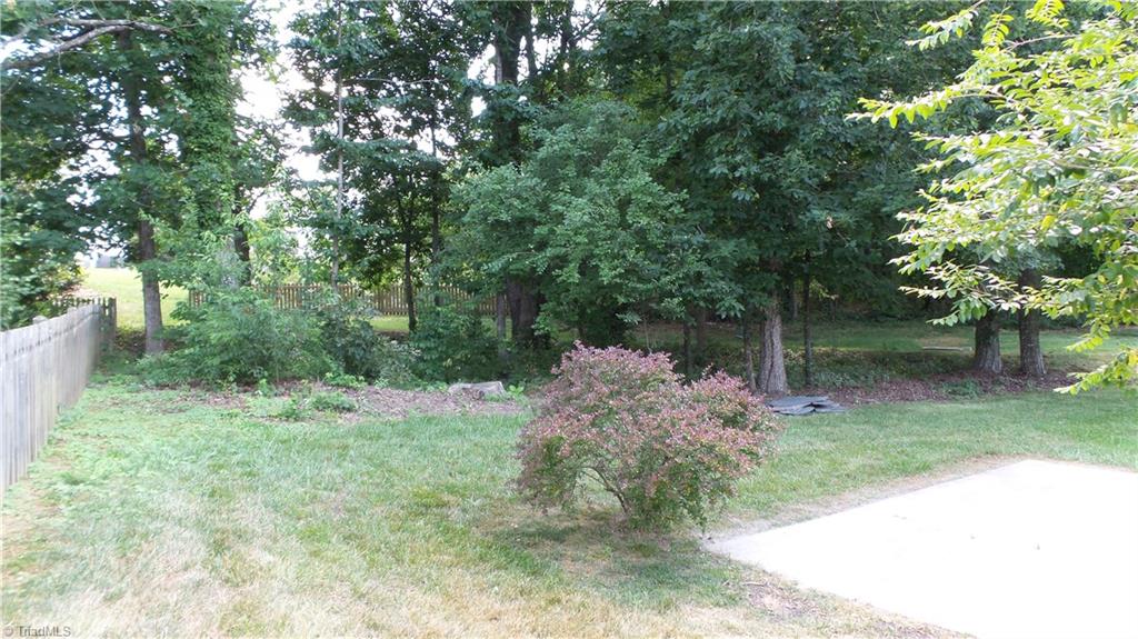 3312 Timberwolf Avenue High Point, NC 27265 - Photo 28 of 29 Additional trees view