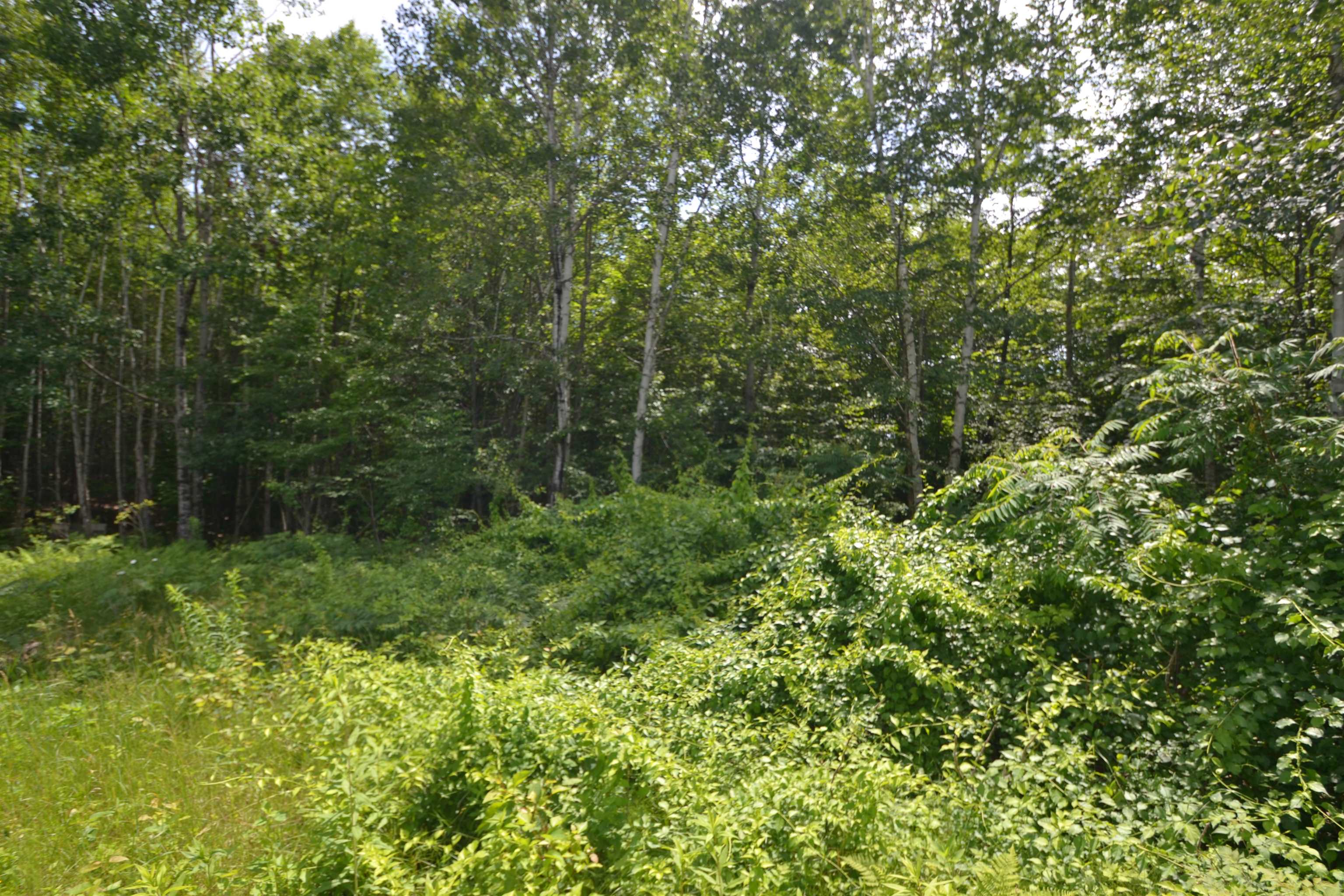 96 Lane Road Holderness, NH 03245 - Photo 13 of 16