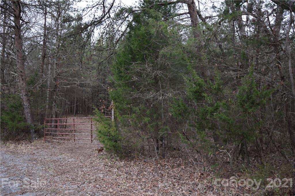 0 Robinson Yelton Road Clover, SC 29710 - Photo 1 of 12