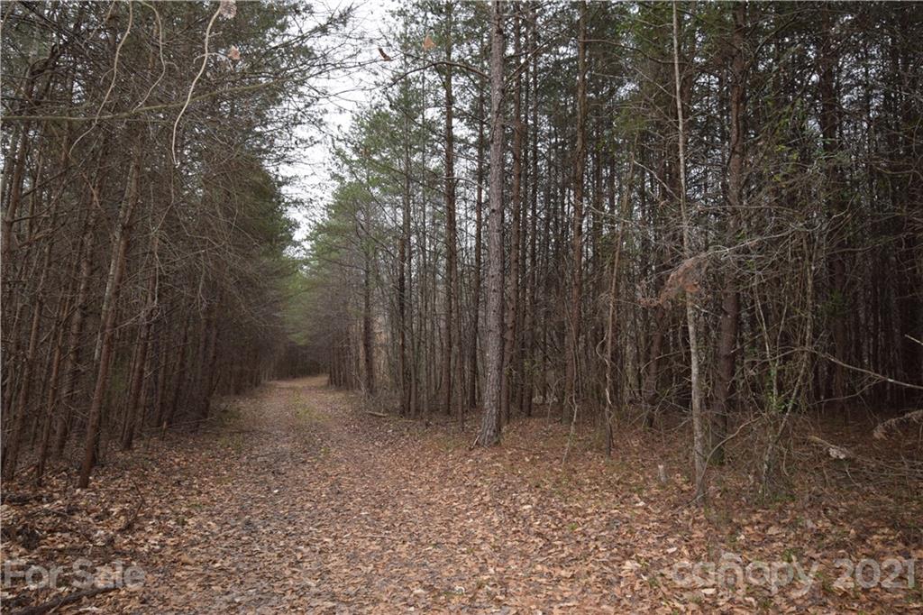 0 Robinson Yelton Road Clover, SC 29710 - Photo 2 of 12