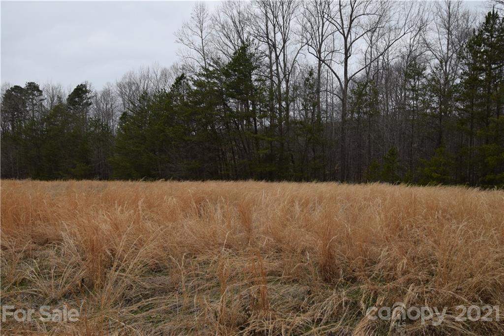 0 Robinson Yelton Road Clover, SC 29710 - Photo 11 of 12