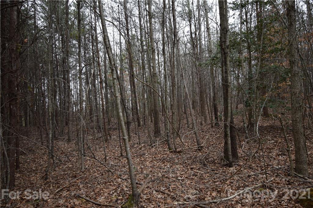 0 Robinson Yelton Road Clover, SC 29710 - Photo 12 of 12