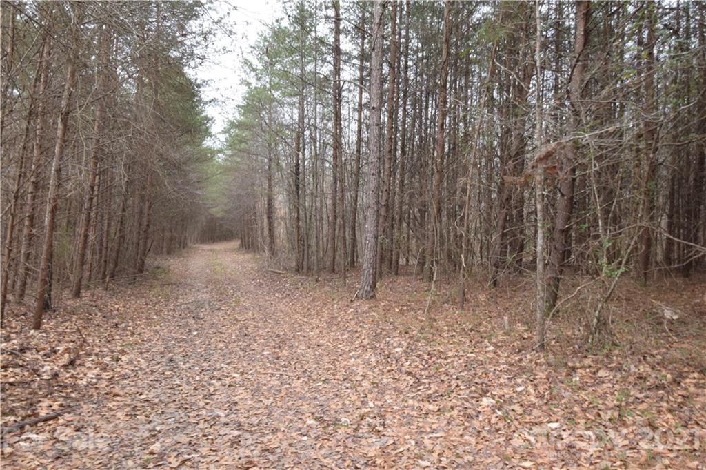 0 Robinson Yelton Road Clover, SC 29710 - Photo 3 of 12