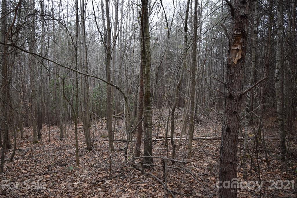 0 Robinson Yelton Road Clover, SC 29710 - Photo 4 of 12