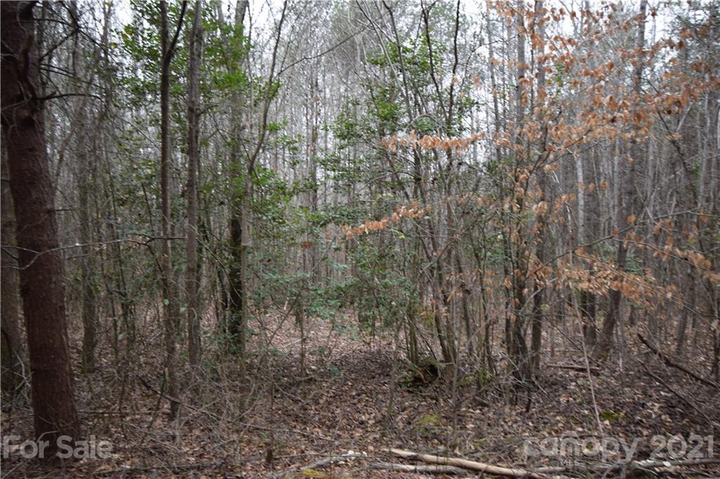 0 Robinson Yelton Road Clover, SC 29710 - Photo 5 of 12