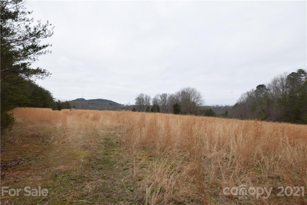 0 Robinson Yelton Road Clover, SC 29710 - Photo 6 of 12