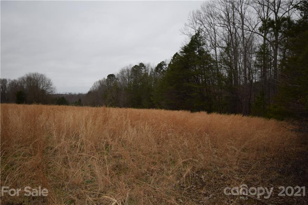 0 Robinson Yelton Road Clover, SC 29710 - Photo 8 of 12