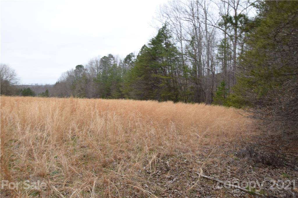 0 Robinson Yelton Road Clover, SC 29710 - Photo 9 of 12