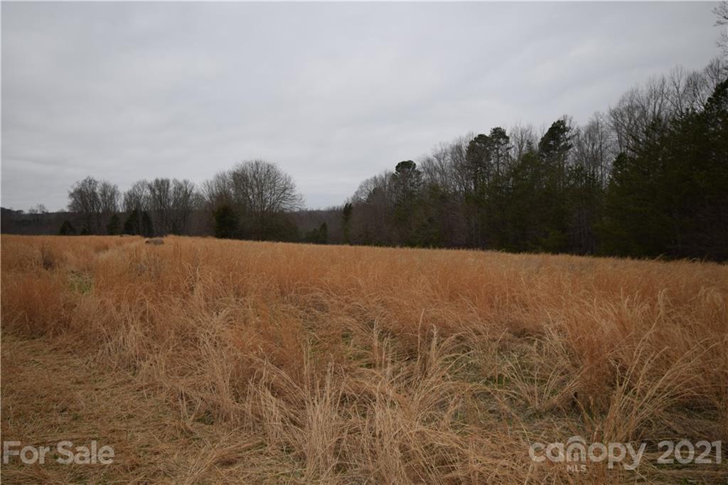 0 Robinson Yelton Road Clover, SC 29710 - Photo 10 of 12