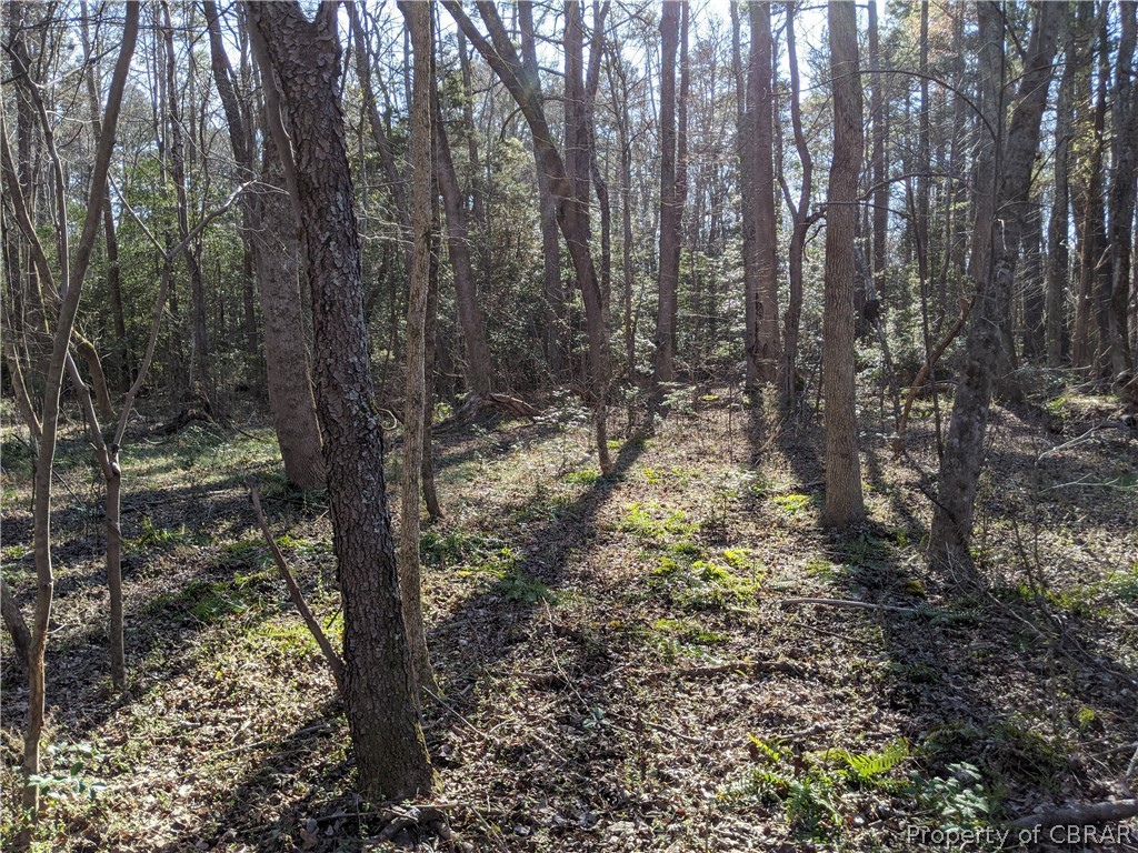 2 Chestnut Fork Road Gloucester, VA 23061 - Photo 4 of 11