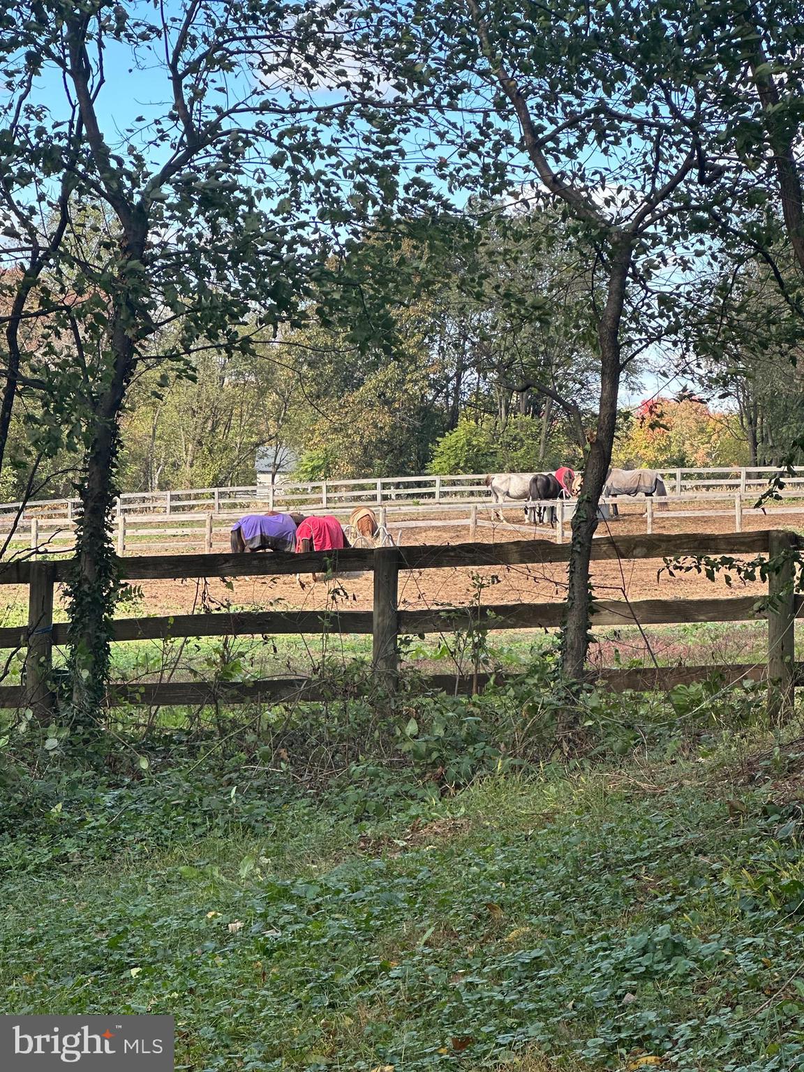 18524 Beallsville Road Poolesville, MD 20837 - Photo 3 of 7 a view of a bench in a yard