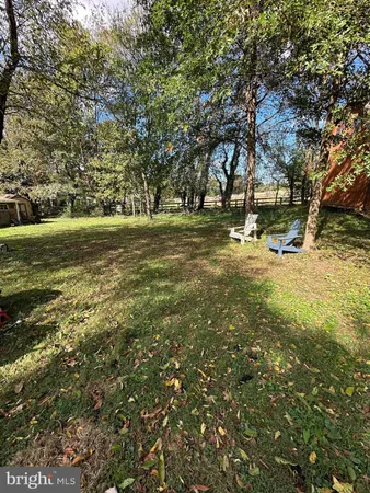 a view of a yard with a tree