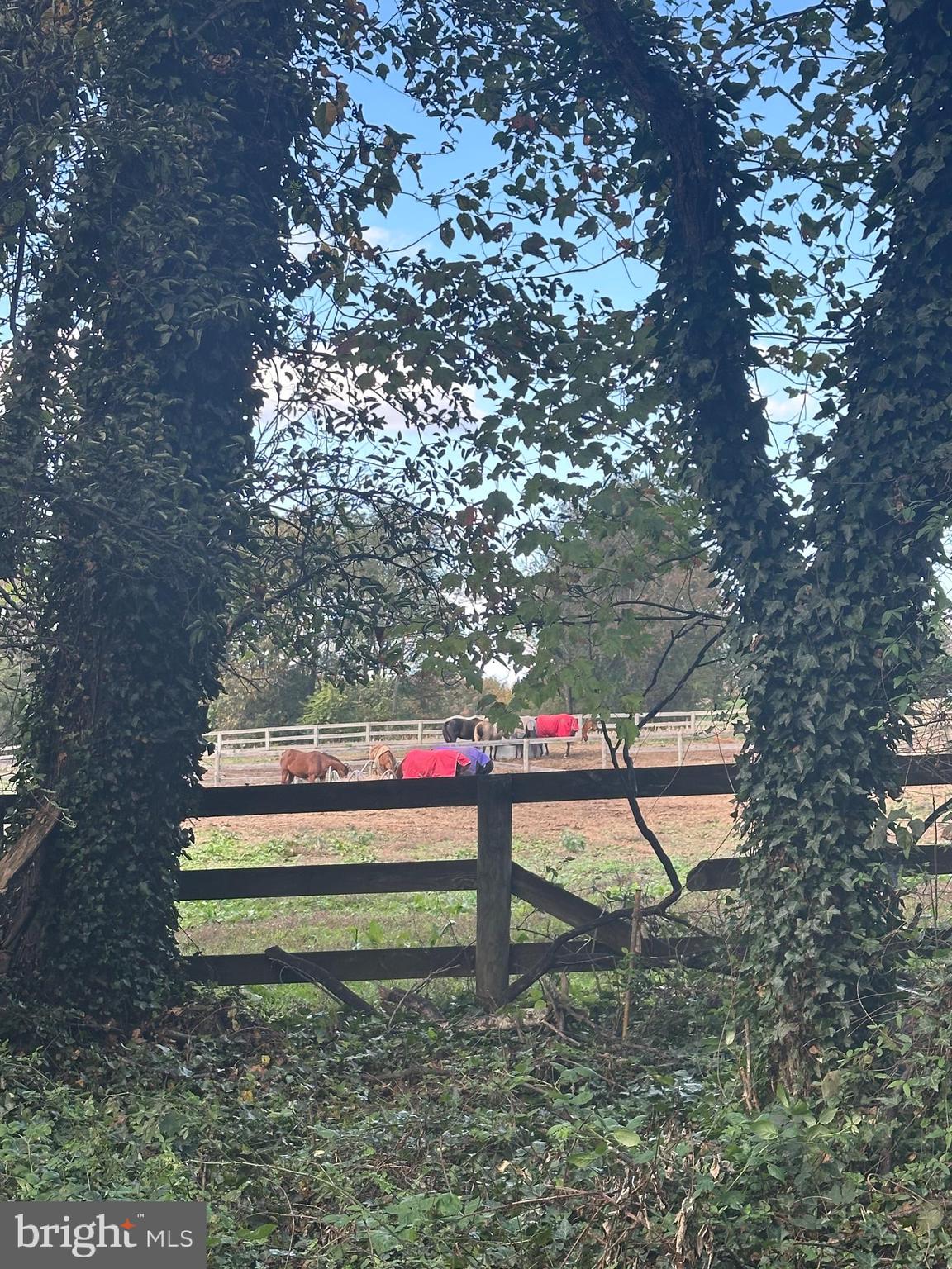 18524 Beallsville Road Poolesville, MD 20837 - Photo 7 of 7 a view of swings on a tree