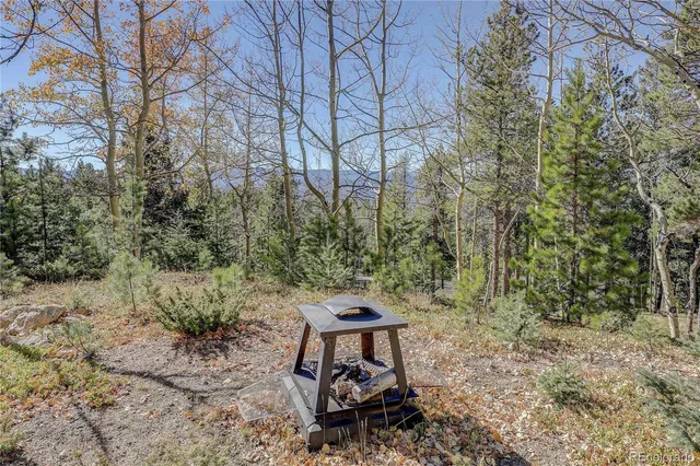a view of a bench in the forest