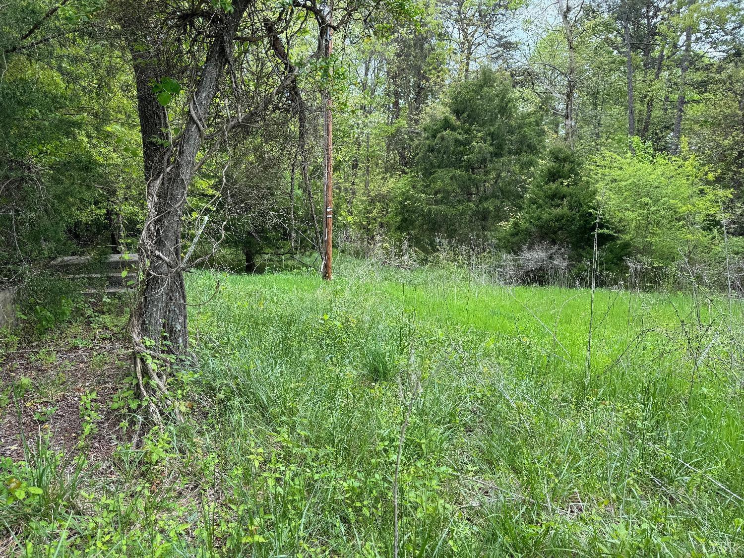 0 Dearborn Road Evington, VA 24550 - Photo 6 of 8 Gallery Image 6