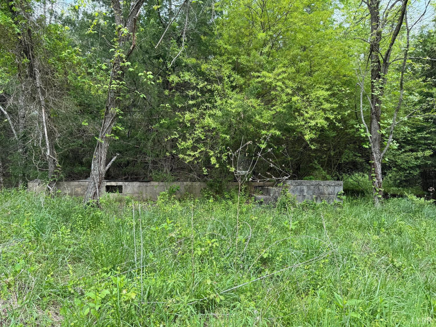 0 Dearborn Road Evington, VA 24550 - Photo 7 of 8 Gallery Image 7